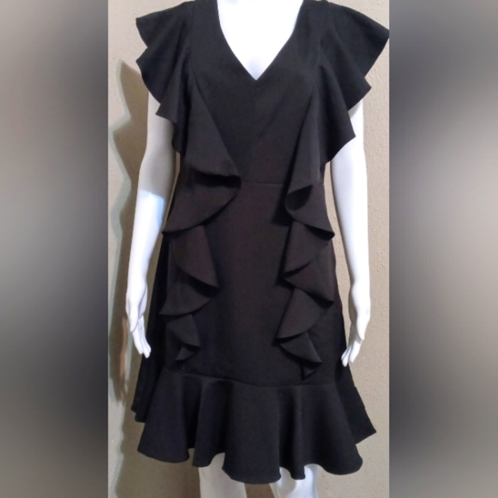 NWT English Factory Ruffled Mini Dress